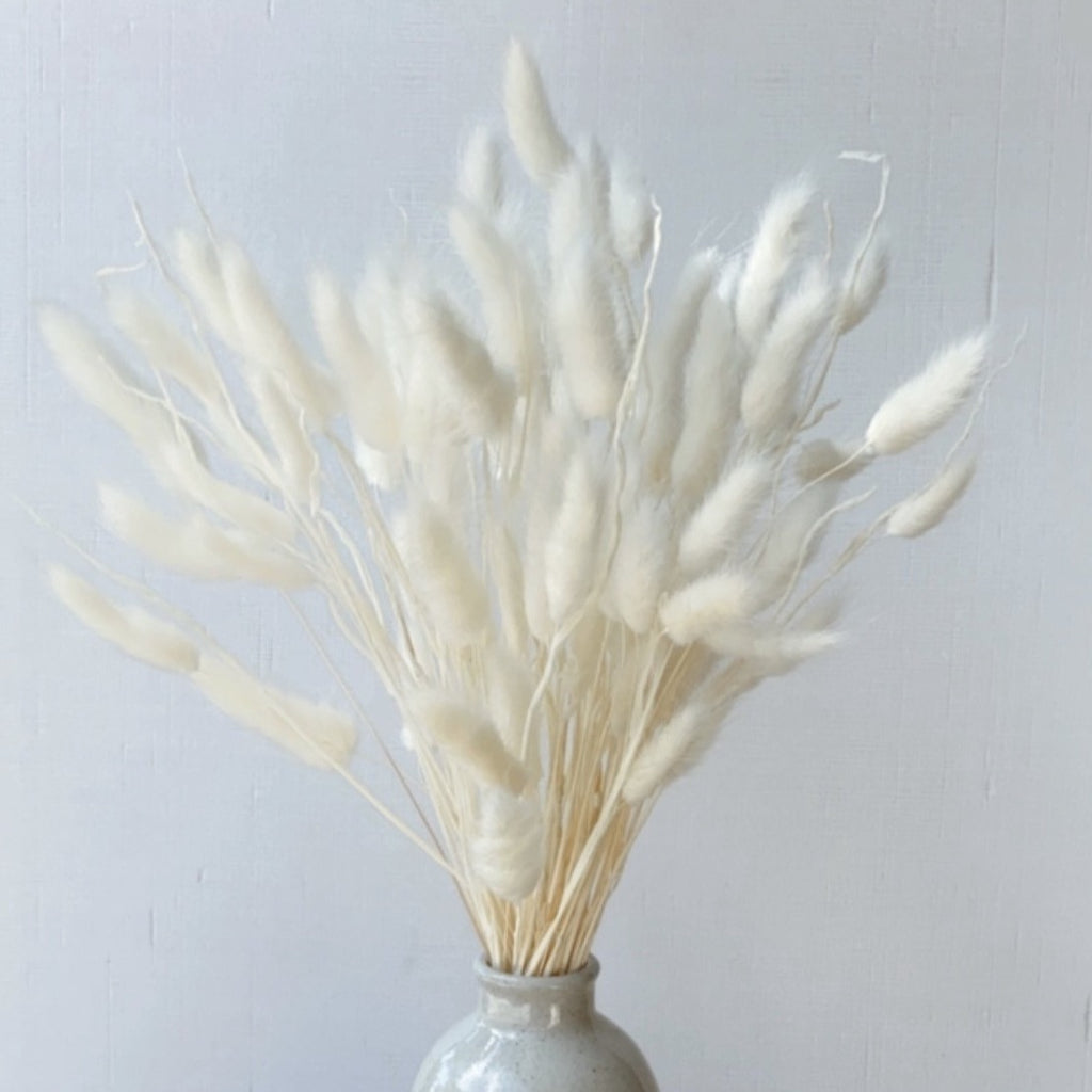 Dried, Bunny Tails, White