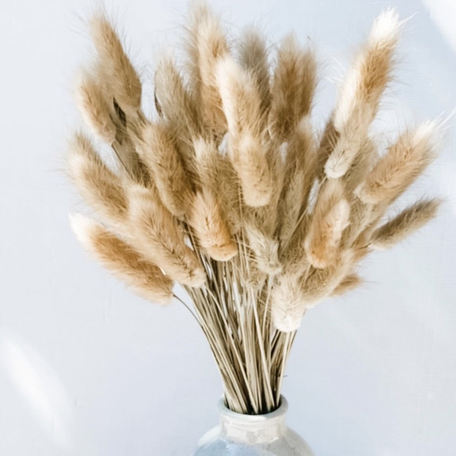 Dried, Bunny Tails, Natural
